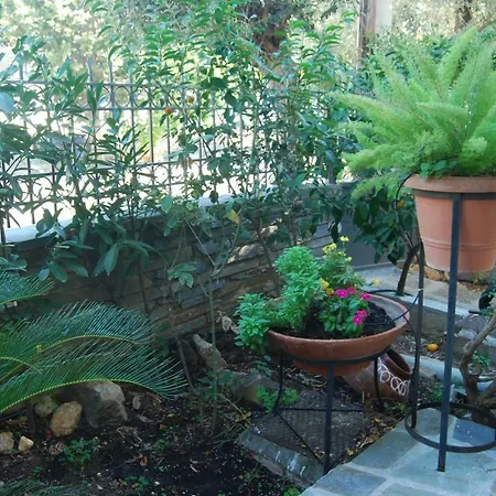 Affordable Luxury Garden Apartment-2